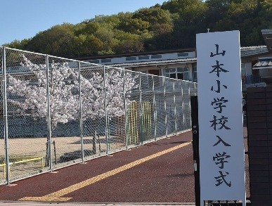 sakura