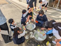 「縁日・磁石釣り」