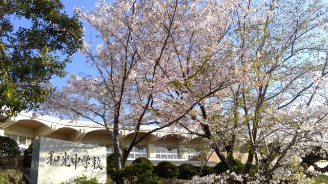 和光と桜