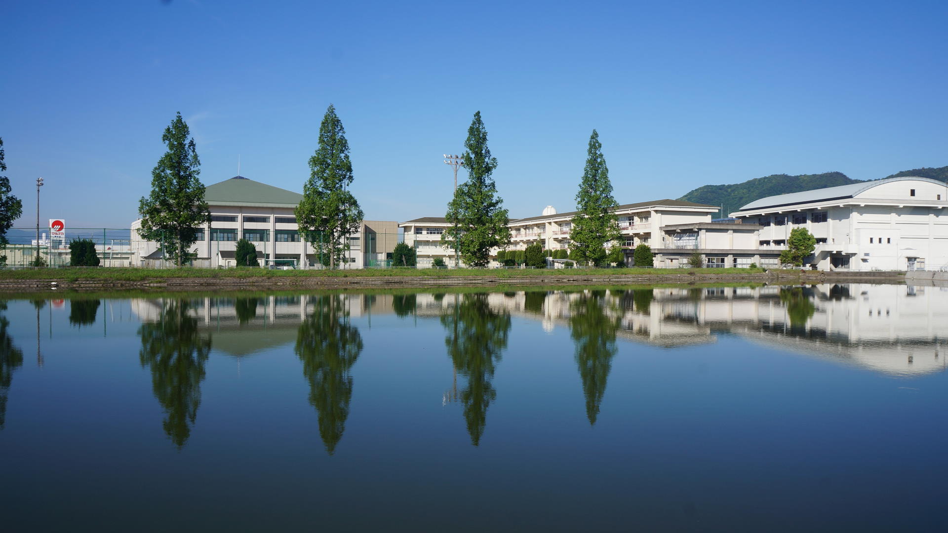 学校風景_5月