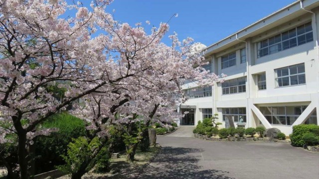 豊中中学校_桜と校舎.jpg