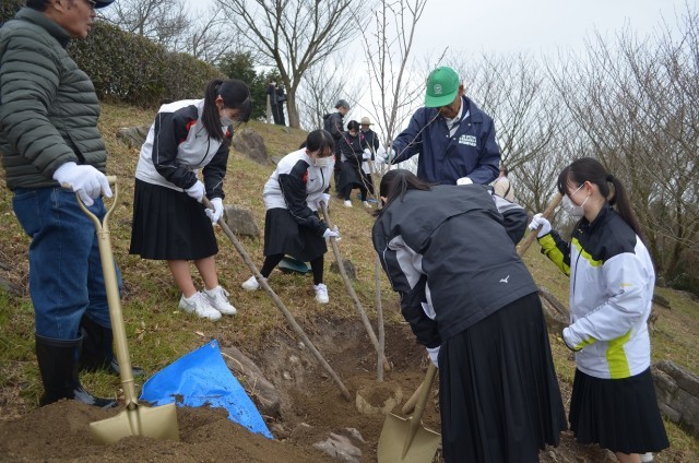 桜植樹２.JPG